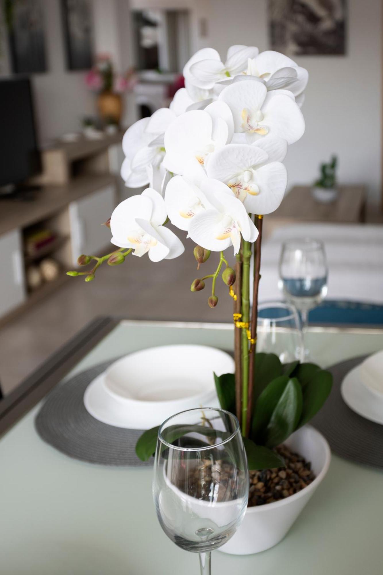 Apartamento Rosa Фуенхірола Екстер'єр фото